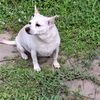 swoo_16
